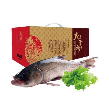 查干湖-经典胖头鱼礼盒